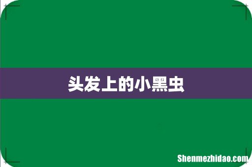 头发上的小黑虫