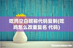 吃鸡怎么改重复名 代码 吃鸡空白昵称代码复制