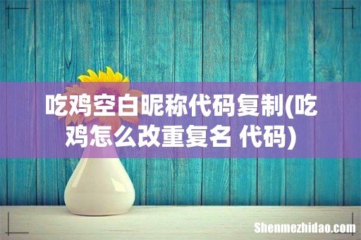 吃鸡怎么改重复名 代码 吃鸡空白昵称代码复制