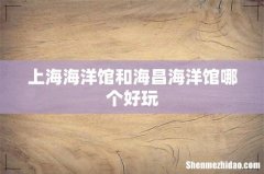 上海海洋馆和海昌海洋馆哪个好玩