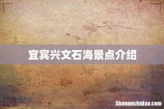 宜宾兴文石海景点介绍