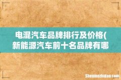 新能源汽车前十名品牌有哪些？ 电混汽车品牌排行及价格