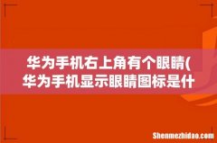 华为手机显示眼睛图标是什么 华为手机右上角有个眼睛