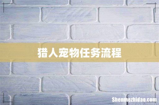 猎人宠物任务流程