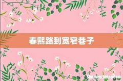 春熙路到宽窄巷子