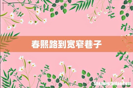 春熙路到宽窄巷子
