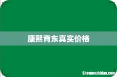 康熙背东真实价格