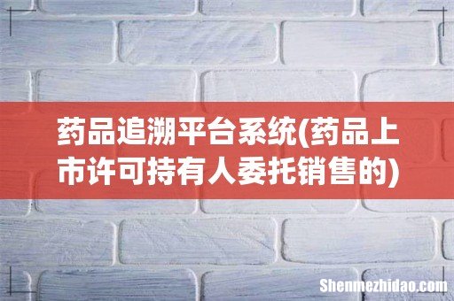 药品上市许可持有人委托销售的 药品追溯平台系统
