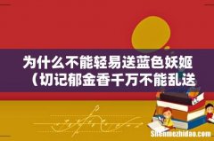 切记郁金香千万不能乱送 为什么不能轻易送蓝色妖姬