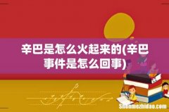 辛巴事件是怎么回事 辛巴是怎么火起来的