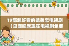 19部超好看的姐弟恋电视剧（见面吧就现在电视剧免费观看)