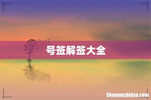 号签解签大全