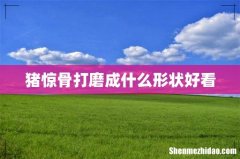 猪惊骨打磨成什么形状好看