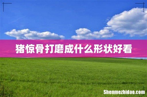 猪惊骨打磨成什么形状好看