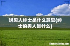 绅士的男人是什么 说男人绅士是什么意思