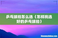 怎样挑选好的乒乓球拍 乒乓球拍怎么选