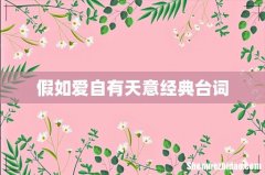 假如爱自有天意经典台词