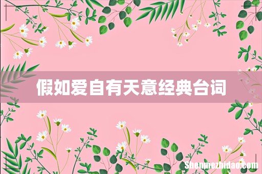 假如爱自有天意经典台词