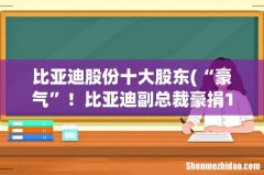 “豪气”！比亚迪副总裁豪捐1.6亿！这位副总裁到底是何来头？ 比亚迪股份十大股东