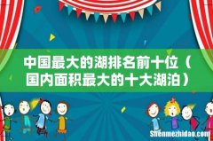 国内面积最大的十大湖泊 中国最大的湖排名前十位
