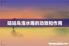 咕咕鸟泡水喝的功效和作用