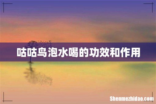 咕咕鸟泡水喝的功效和作用
