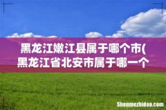 黑龙江省北安市属于哪一个市 黑龙江嫩江县属于哪个市