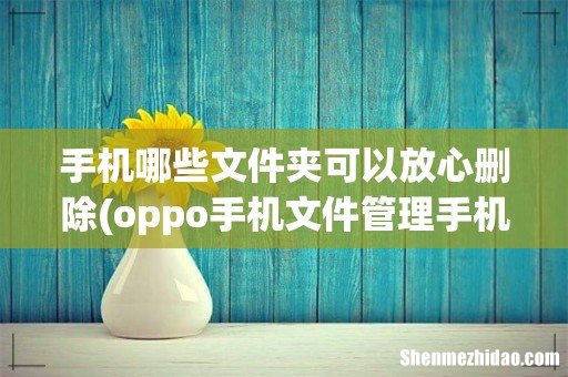 oppo手机文件管理手机存储文件夹能删除吗 手机哪些文件夹可以放心删除