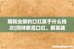 同样都是口红，那高端口红和普通口红都有哪些不同呢？ 胭脂虫做的口红属于什么档次
