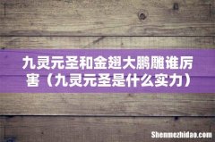 九灵元圣是什么实力 九灵元圣和金翅大鹏雕谁厉害