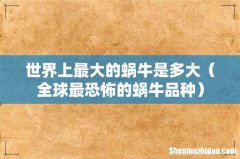全球最恐怖的蜗牛品种 世界上最大的蜗牛是多大