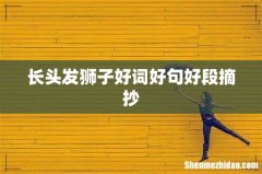长头发狮子好词好句好段摘抄