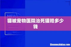猫被宠物医院治死猫赔多少钱