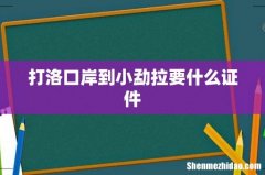 打洛口岸到小勐拉要什么证件