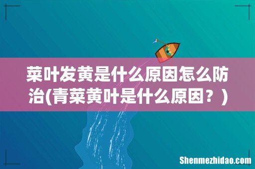 青菜黄叶是什么原因? 菜叶发黄是什么原因怎么防治