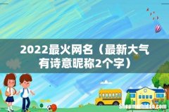 最新大气有诗意昵称2个字 2022最火网名