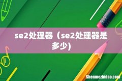 se2处理器（se2处理器是多少)