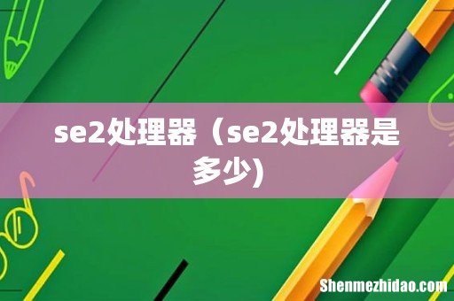 se2处理器(se2处理器是多少)