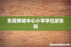 东莞南城中心小学学位紧张吗