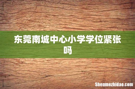 东莞南城中心小学学位紧张吗