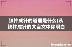 从铁杵成针的文言文中你明白了一个什么道理 铁杵成针的道理是什么