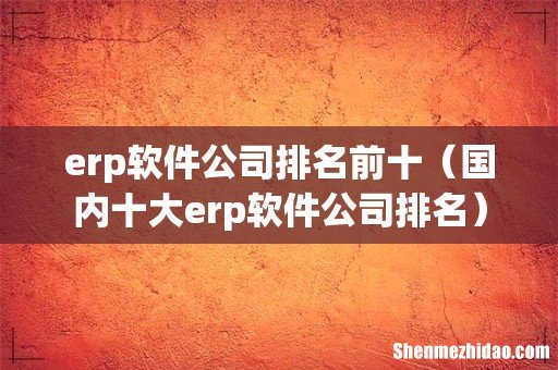 国内十大erp软件公司排名 erp软件公司排名前十