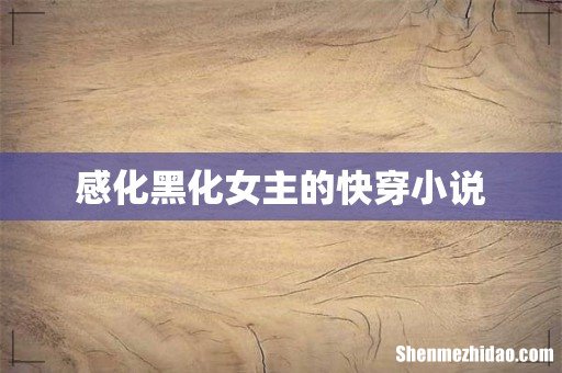 感化黑化女主的快穿小说