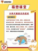 狗的胰腺炎怎么治 狗胰腺炎怎么治疗效果最好