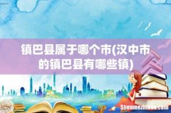 汉中市的镇巴县有哪些镇 镇巴县属于哪个市