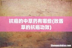 败酱草的抗癌功效 抗癌的中草药有哪些