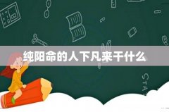 纯阳命的人下凡来干什么