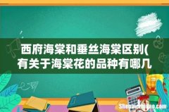 有关于海棠花的品种有哪几类 西府海棠和垂丝海棠区别