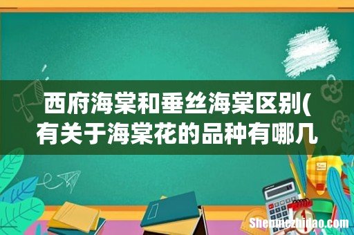 有关于海棠花的品种有哪几类 西府海棠和垂丝海棠区别