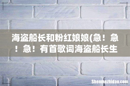 急！急！急！有首歌词海盗船长生日快乐，红娘娘生日快乐，谁知道这首歌叫什么，麻烦告诉下，谢谢！！ 海盗船长和粉红娘娘